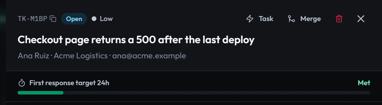 The ticket header a provider works from: the client’s email is hidden